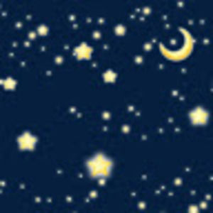 Meet your Posher, Tami